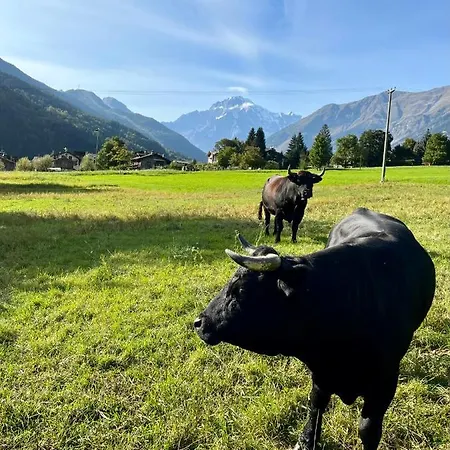 Lejlighed Casa Dei Ciliegi