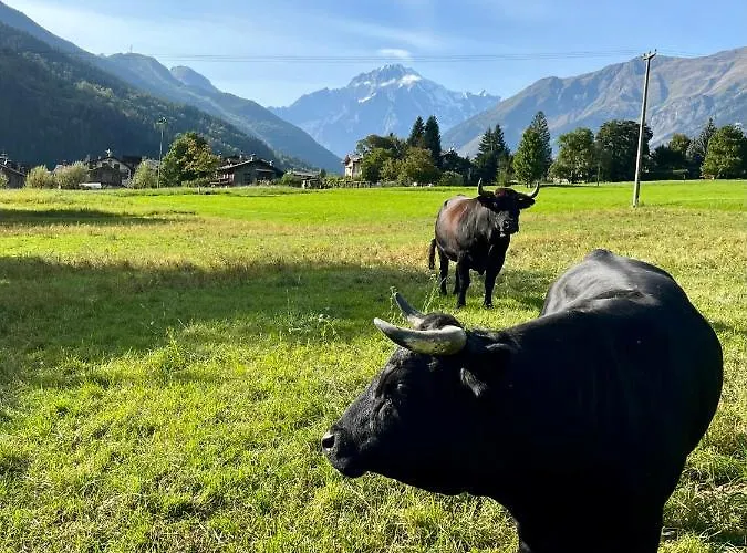 Appartement Casa Dei Ciliegi